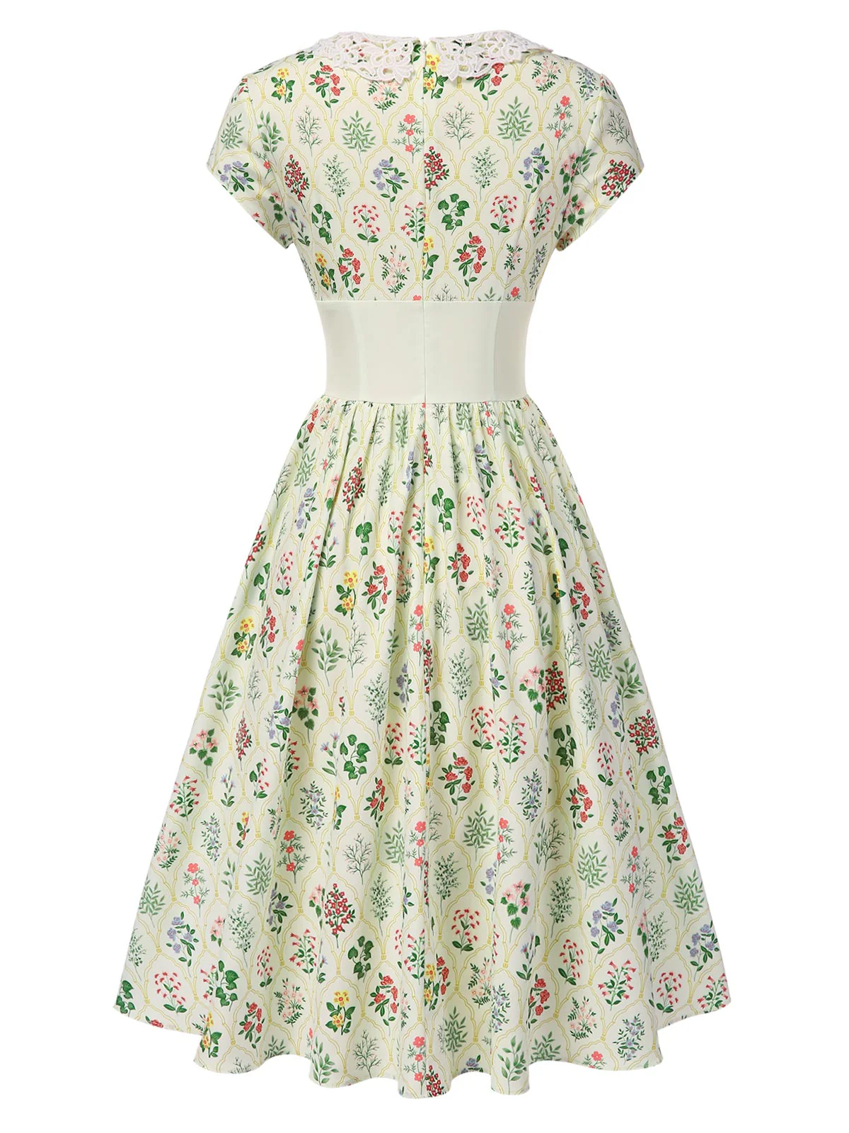 Beige 1940s Floral Lace Collar Cap Sleeve Dress - Image 4
