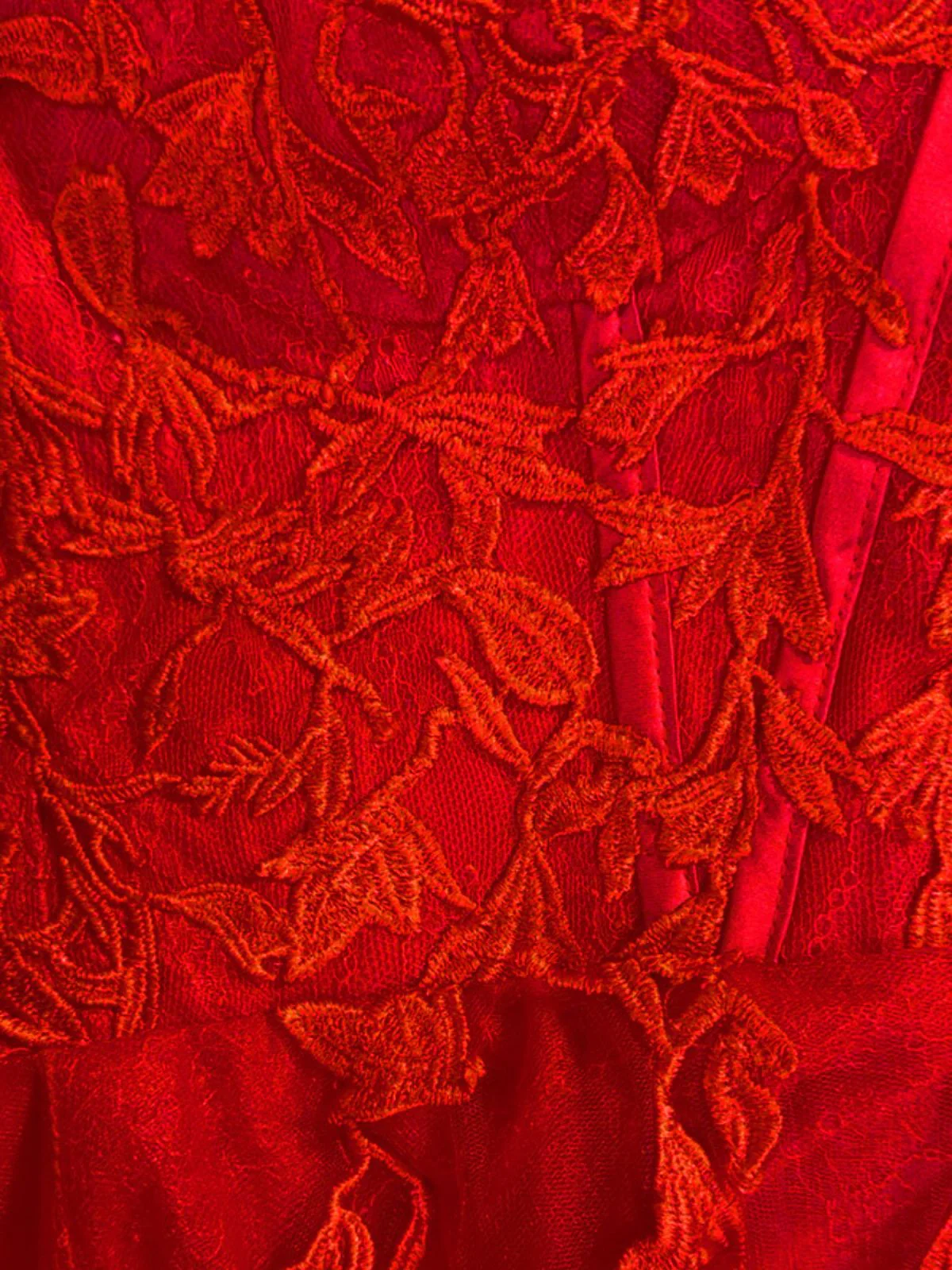 Red 1930s Spaghetti Strap Lace Tulle Maxi Dress - Image 3
